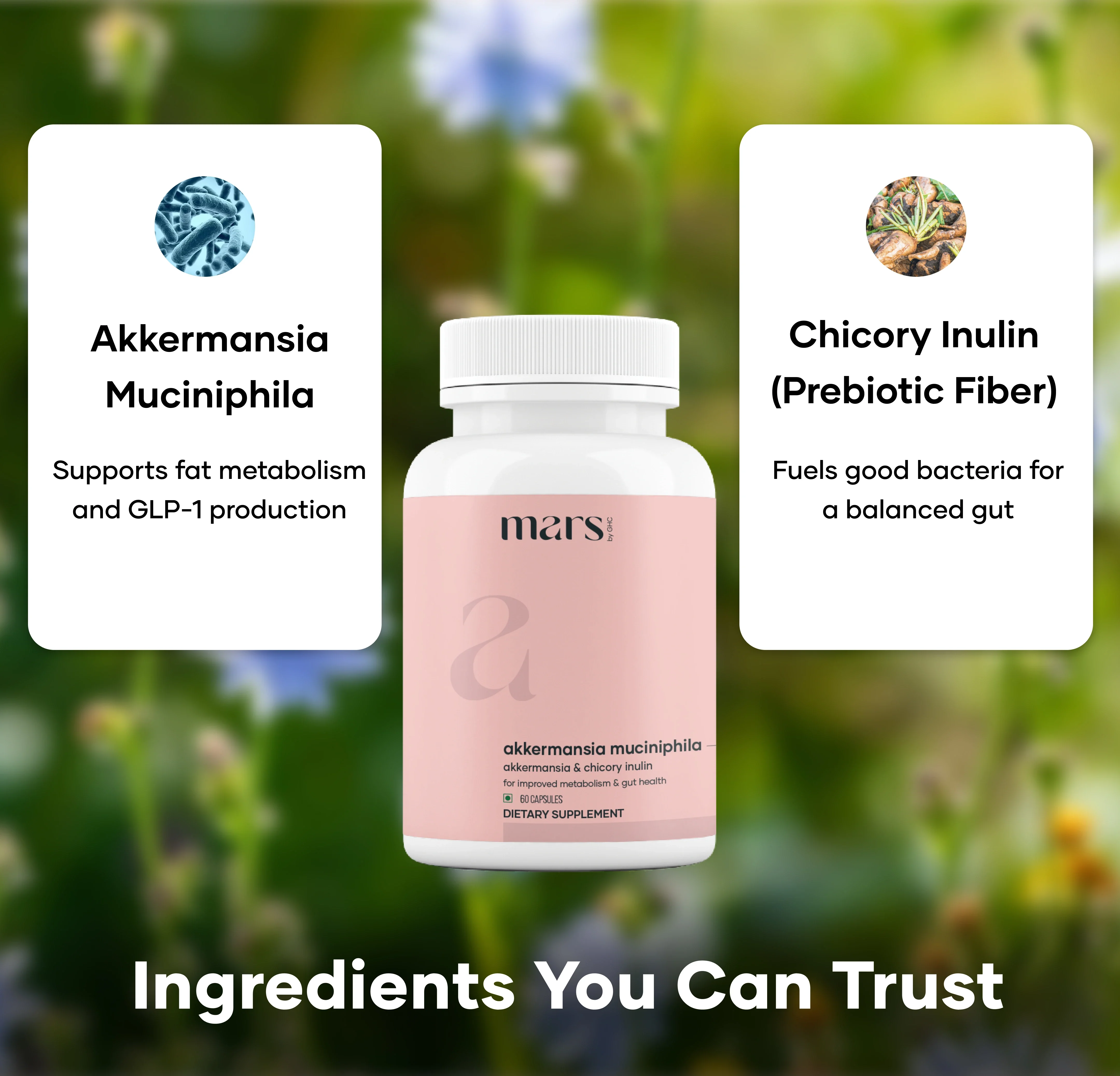 Mars Akkermansia – O7empic-Inspired Gut Reset Formula - Image 2