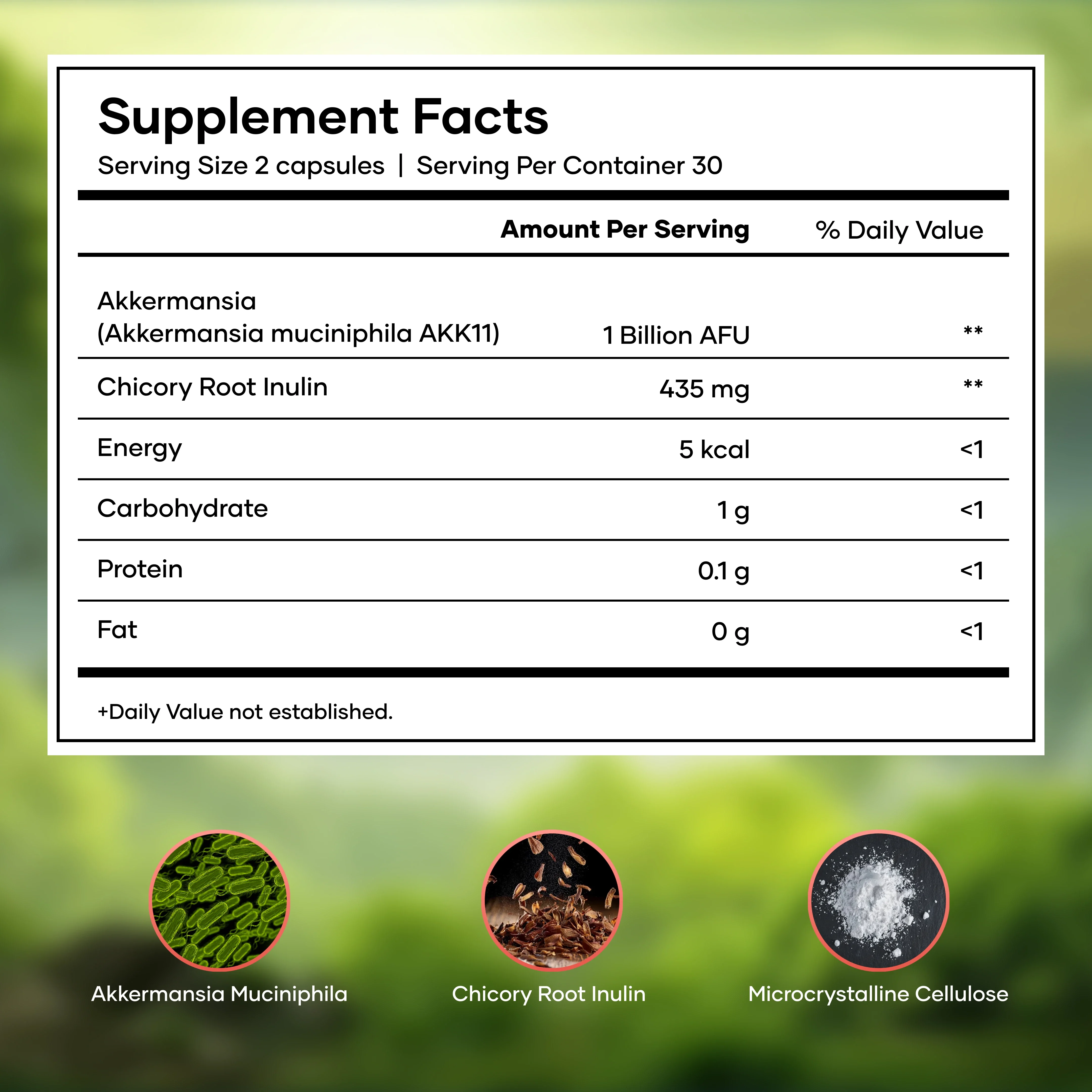 Mars Akkermansia – O7empic-Inspired Gut Reset Formula - Image 3