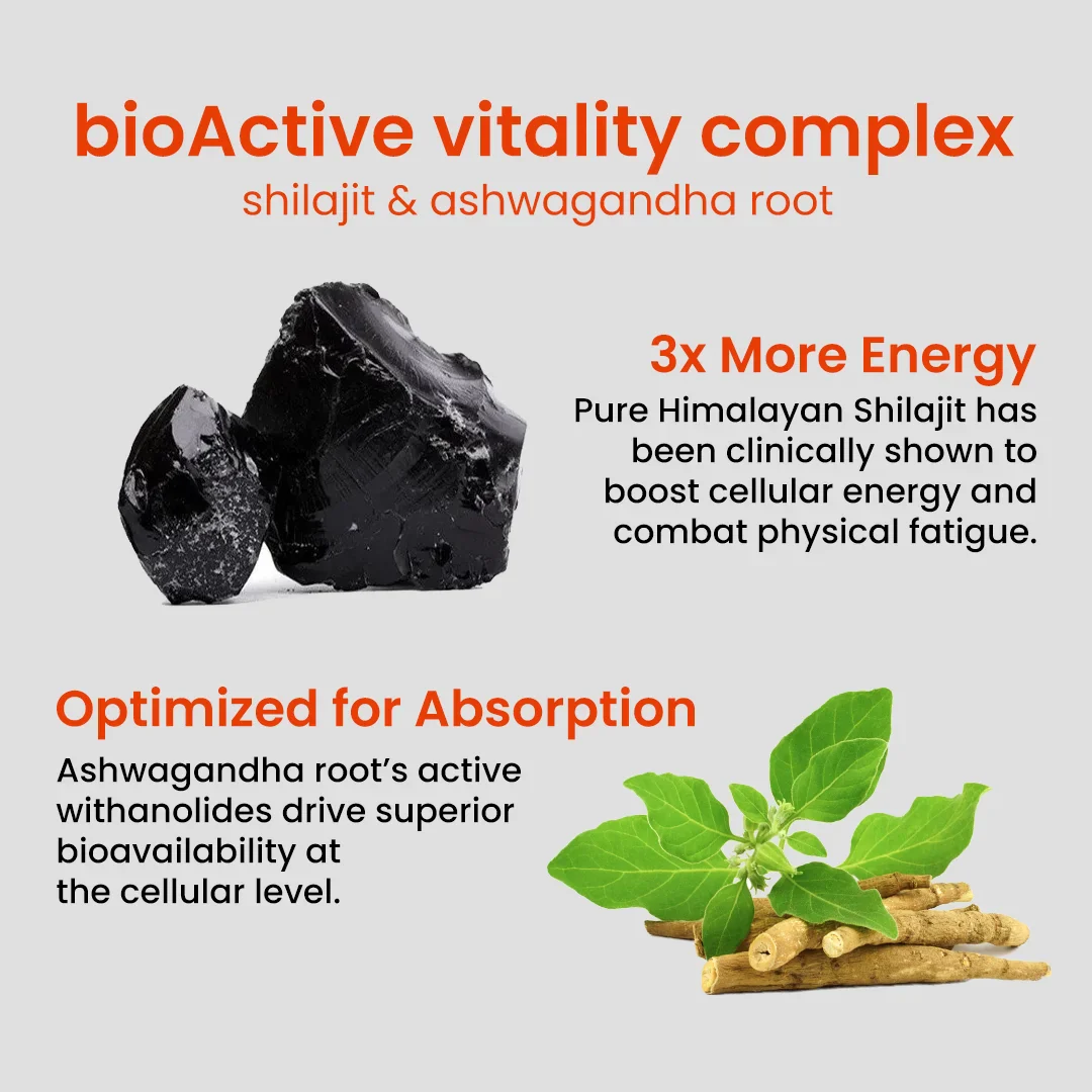 Mars Alpha Gummies - Advanced 10-in-1 Formula for Power, Drive & Vitality with High-Potency Shilajit & Ashwagandha - Image 6