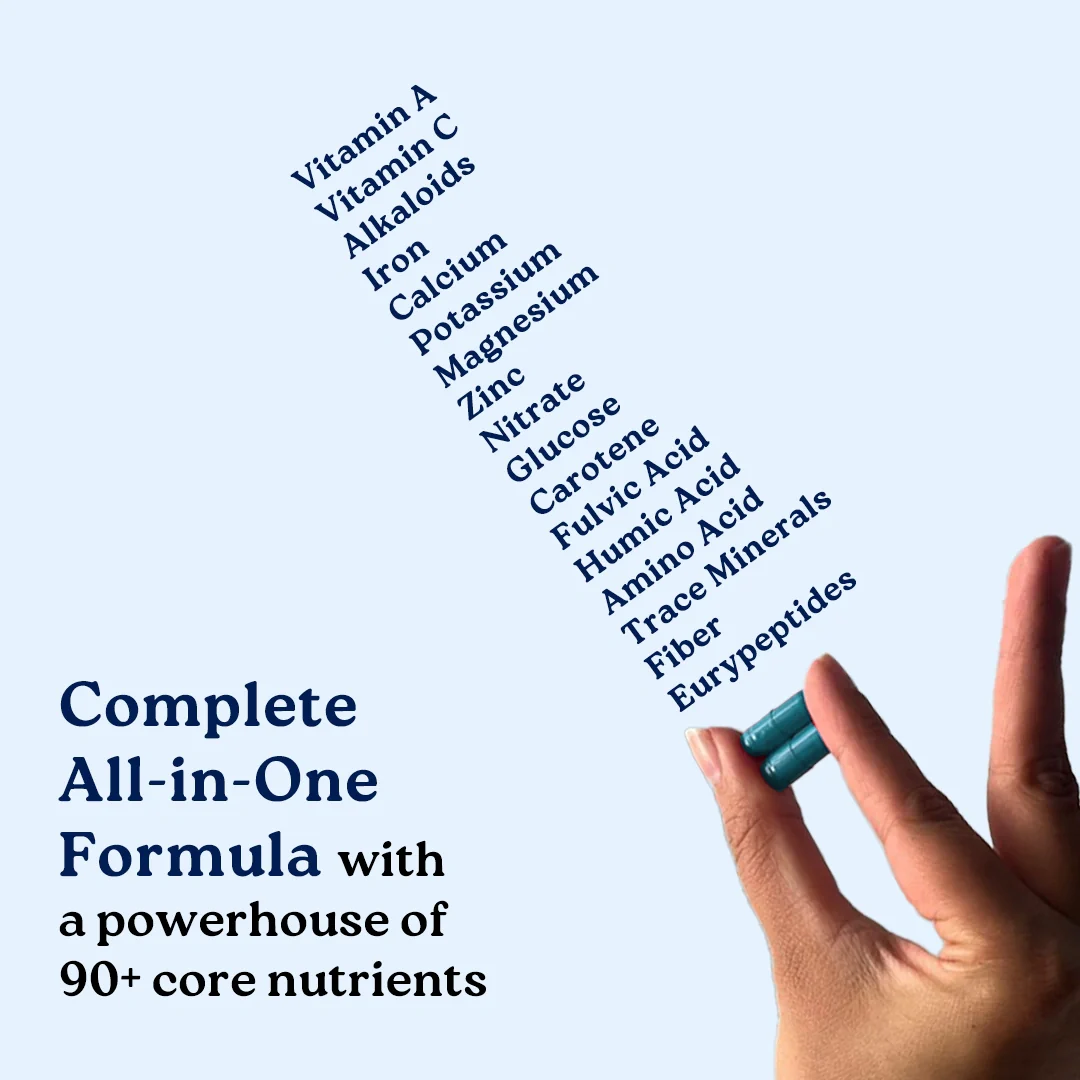 Power & Strength Combo - Powered with Shilajit Gold, Ashwagandha, Lionsmane and Moringa - Image 10