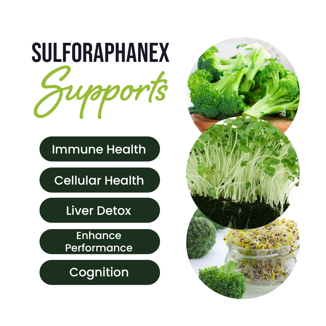 SulforaphaneX : Advanced Detox & Performance Support Formula - Image 2