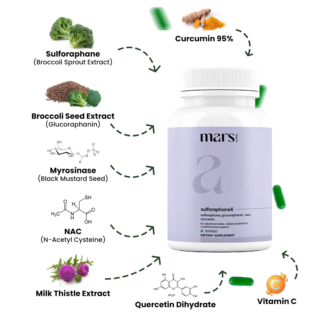 SulforaphaneX : Advanced Detox & Performance Support Formula - Image 4